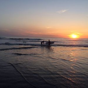 Meet your Posher, Payton